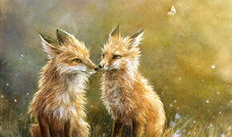 动漫 狐狸,探寻神秘狐狸族的奇幻之旅